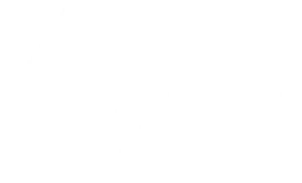 Retrace The Lines